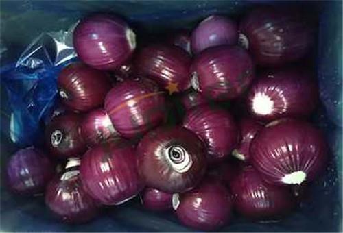 Fresh Red Onion 1 Kg Pack