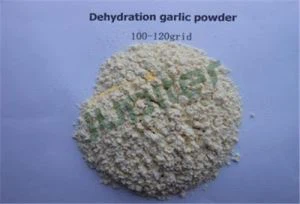 Torkat vitlökspulver