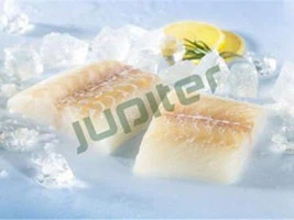 Topp 10 leverantörer av frysta skaldjur i Kina 2025